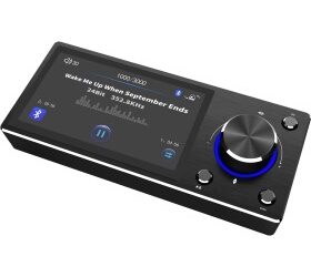 Goldhorn Control Remoto Com Display T3002