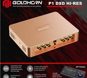 Goldhorn P1 Reproductor Hi-Res