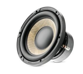 Kit Sub Woofer P20FE