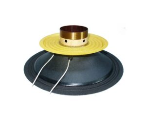 Recambio para altavoz de Medios APS 6" M64