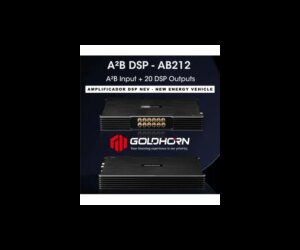 Goldhorn AB212