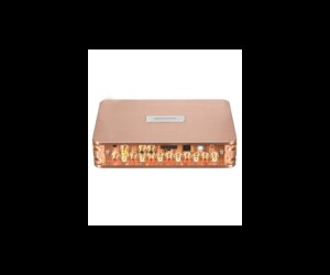 Goldhorn P2 DSP PRO